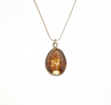 Колье Ester Bijoux с натуральной ракушкой орехового цвета в серебре